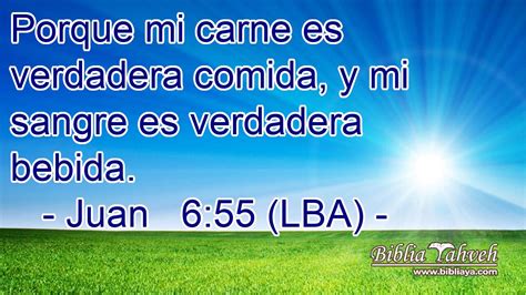 lynxjuan 6/55